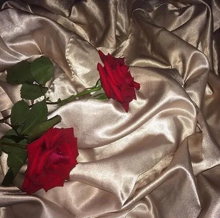 OnlyFans cuenta rose_101 header 2