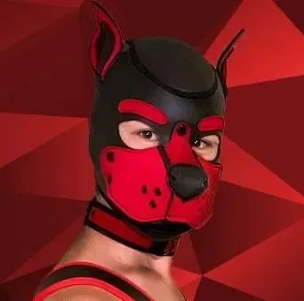 OnlyFans cuenta pupbully1 avatar 1