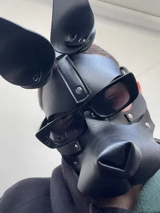 OnlyFans account  sp_insaciavel avatar 1