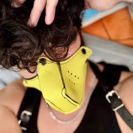 OnlyFans cuenta prismstrip avatar 1