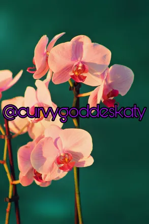 OnlyFans cuenta curvygoddeskatyvip header 2