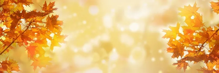 OnlyFans cuenta bestautumnever header 2