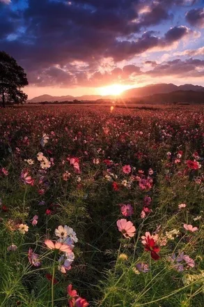 OnlyFans cuenta slickbackhunny22 header 2