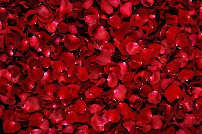 OnlyFans account  frenchkisses24 header 1