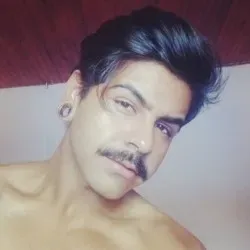 OnlyFans cuenta dhrogatto avatar 1
