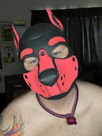 OnlyFans cuenta phoenixpup9998 avatar 1