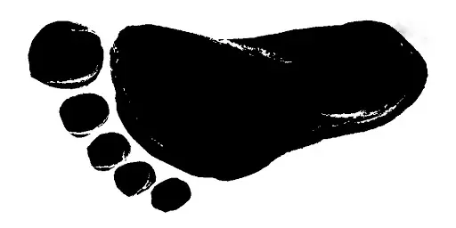 OnlyFans account  happifeet1 header 2