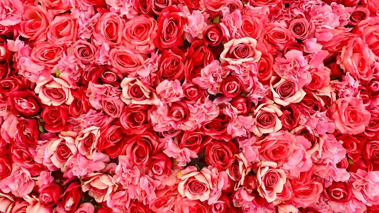 OnlyFans cuenta iamwandasexy header 2
