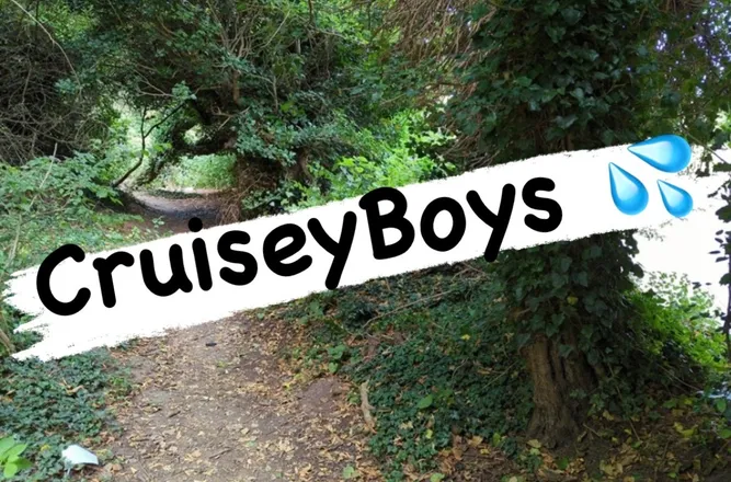 OnlyFans cuenta cruiseyboys header 2