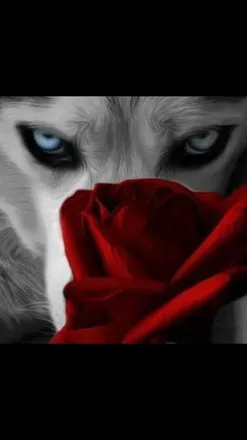 OnlyFans cuenta blueberry_custard header 2