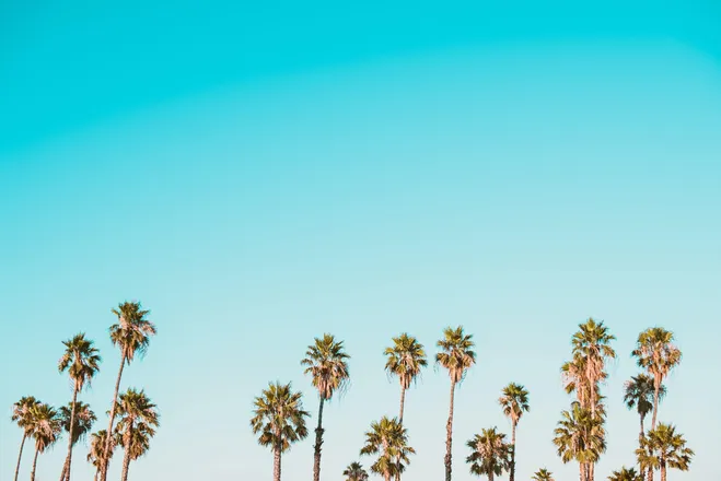 OnlyFans cuenta keepingitupwithjojo header 2