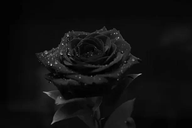 OnlyFans cuenta selflovewithgemmgirl header 2