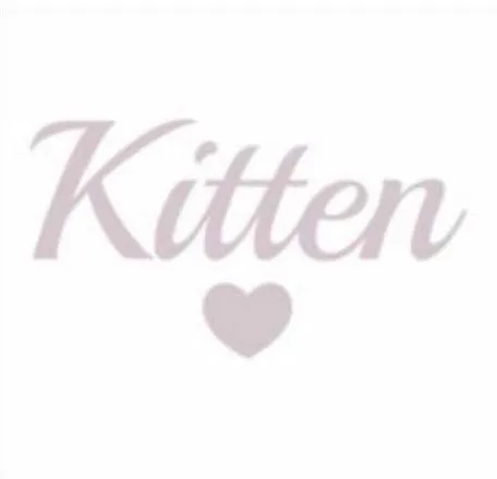 OnlyFans account  gingerkitten3 header 2