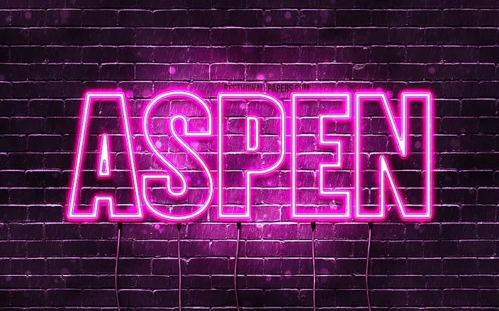 OnlyFans cuenta aspen_york header 2