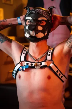 OnlyFans cuenta orca_puppo316 avatar 1