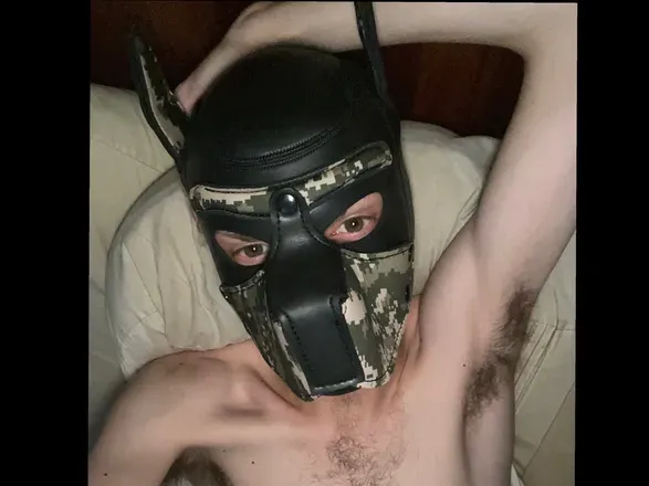 OnlyFans cuenta pup.ty420 avatar 1