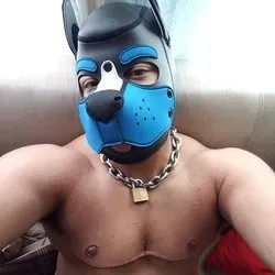 OnlyFans cuenta puppomax avatar 1