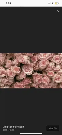 OnlyFans cuenta delilahxoxo header 1