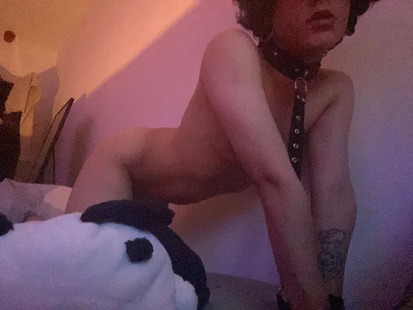 OnlyFans cuenta cyberbunni header 2