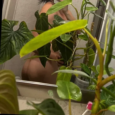 OnlyFans cuenta plantfeetpics avatar 1