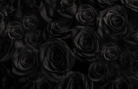 OnlyFans cuenta scorpioblueee header 2