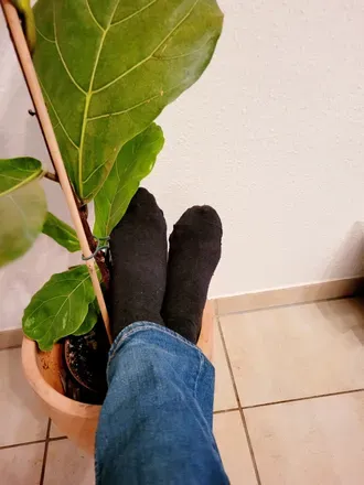 OnlyFans cuenta amazingfeetures avatar 1