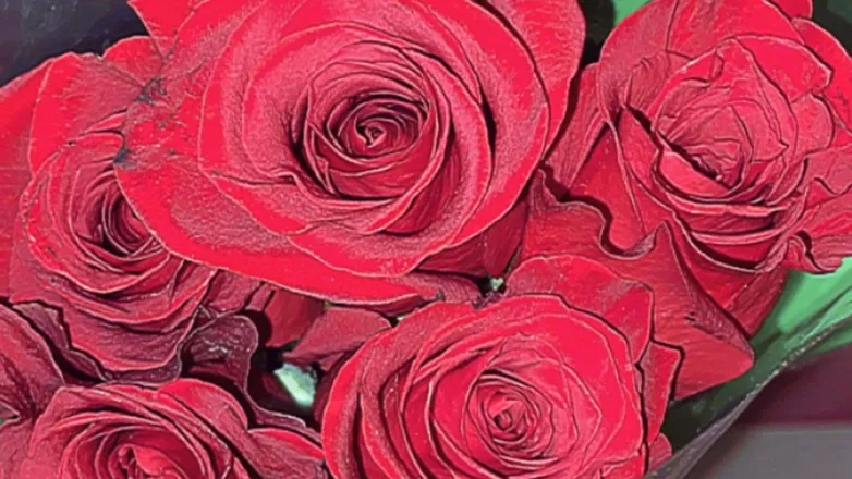 OnlyFans cuenta kashkween header 2