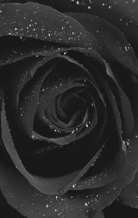 OnlyFans cuenta u148991782 header 2