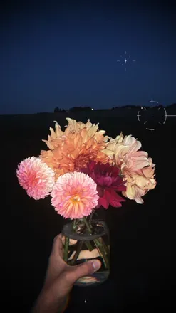 OnlyFans cuenta floralfauna header 2