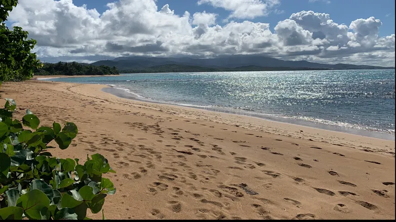 OnlyFans account  islandgayalt header 2