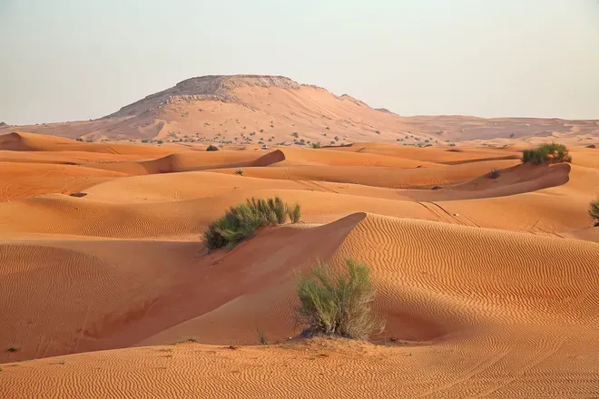 OnlyFans cuenta arabmen header 2
