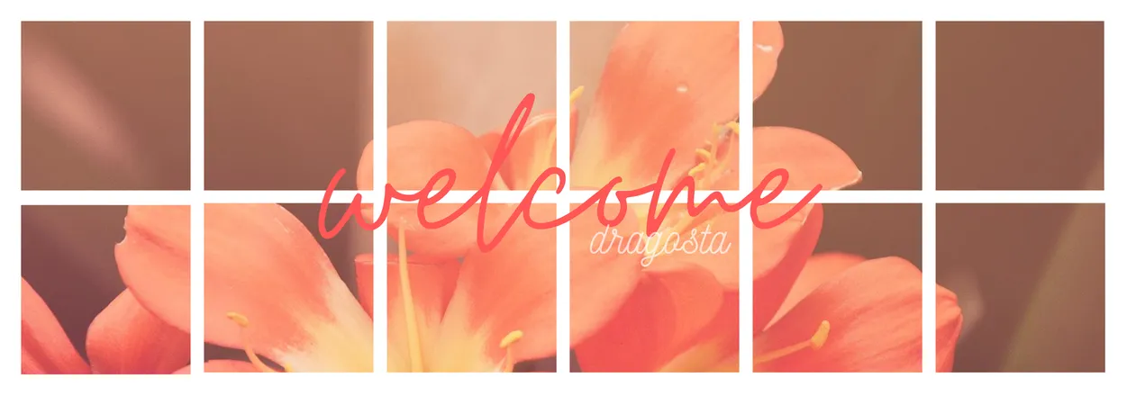 OnlyFans cuenta dragosta header 2
