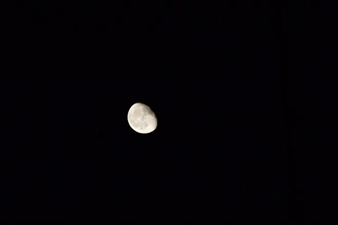 OnlyFans account  moondingo header 2