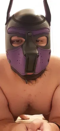 OnlyFans account  rockythepuppy avatar 1