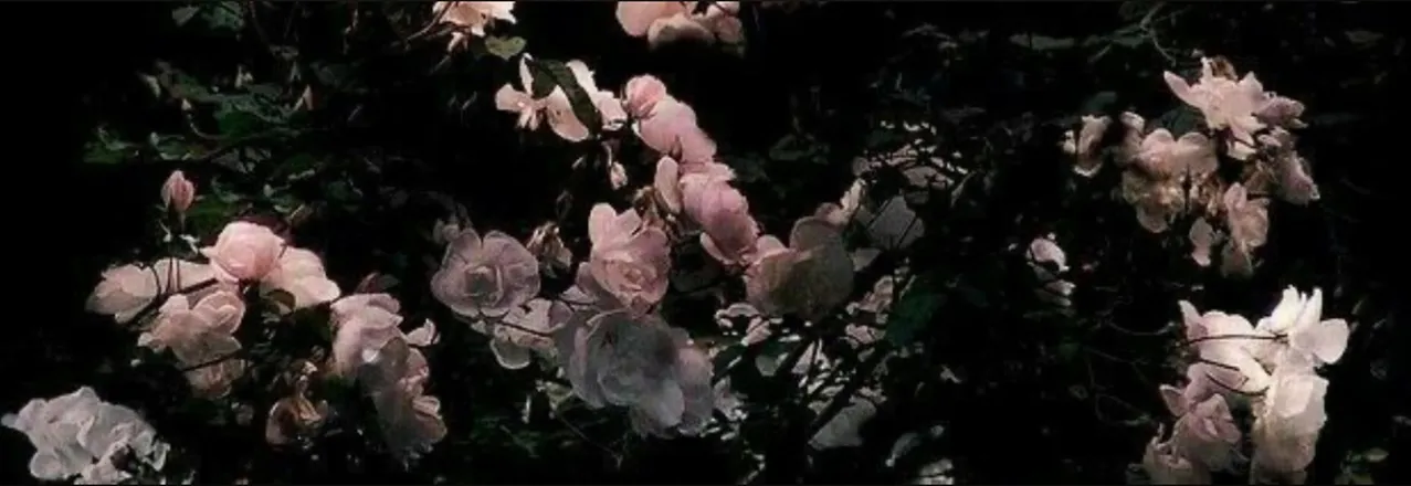OnlyFans cuenta spookyxpeach header 2