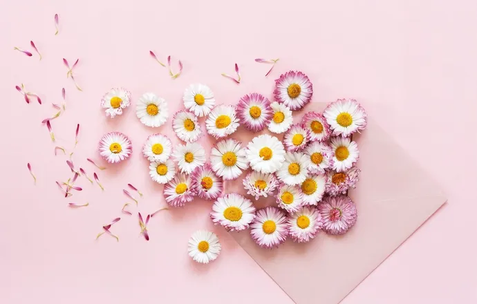 OnlyFans cuenta daisygraces header 2