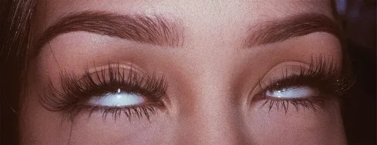 OnlyFans cuenta diaofficial header 2