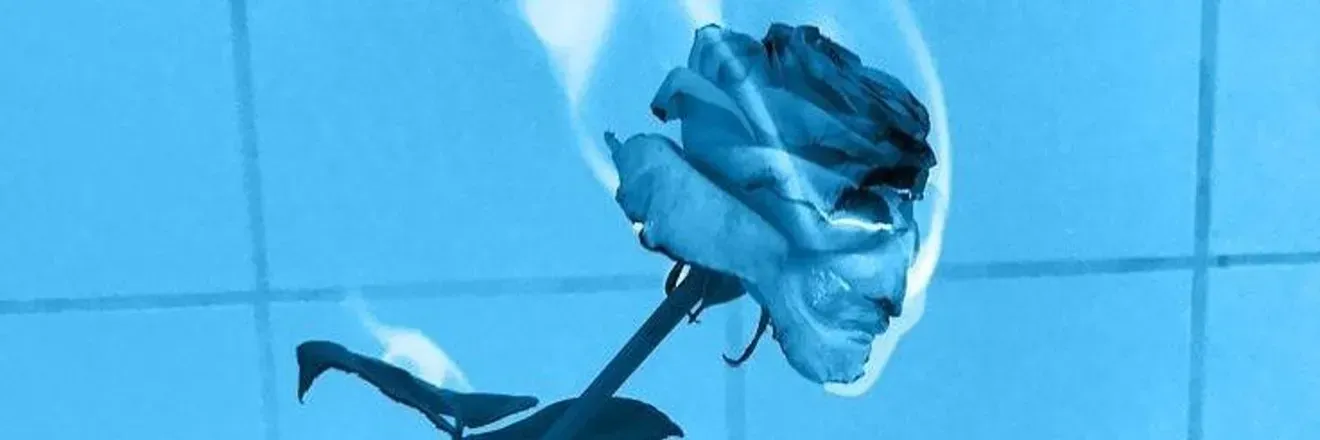 OnlyFans cuenta u16010607 header 2