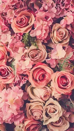 OnlyFans cuenta alvarezisabella header 1