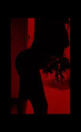 OnlyFans cuenta lightandbright avatar 1