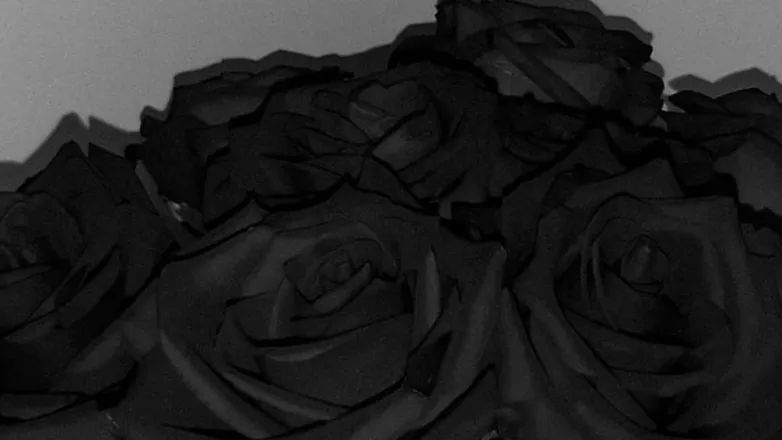 OnlyFans cuenta lizwhatever header 2