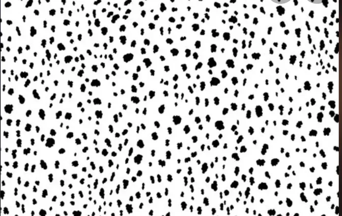 OnlyFans cuenta cruellasarah27 header 2
