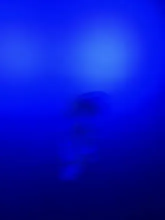 OnlyFans cuenta fluidleak header 1