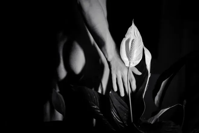 OnlyFans cuenta dirtywitchboy header 2