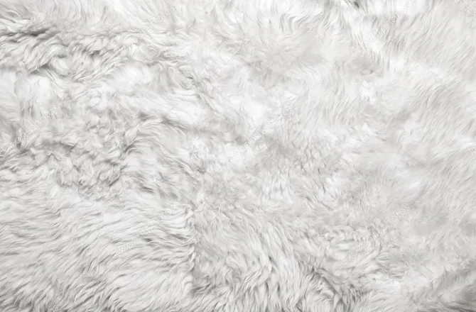 OnlyFans cuenta nikollee header 2