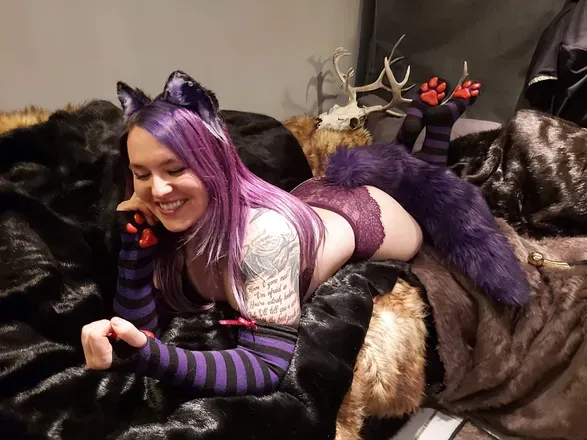 OnlyFans account  kibblesnbits header 2
