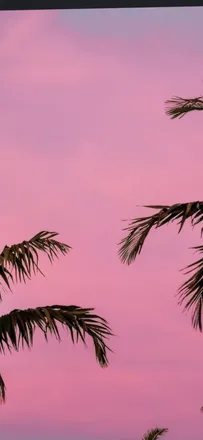 OnlyFans cuenta magneticmaddie header 2