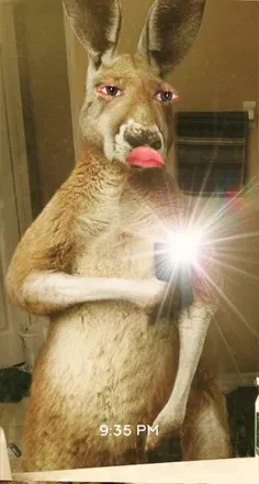 OnlyFans cuenta bobbygator avatar 1