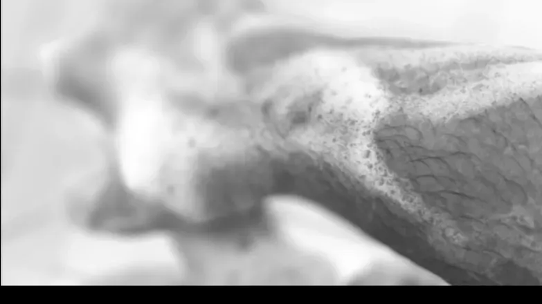 OnlyFans cuenta zudinha header 2