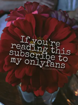 OnlyFans account  freebabyylilithh header 2